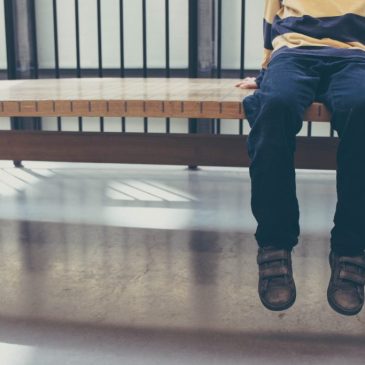 Franklin's High Fence