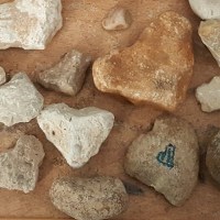 Understanding the Joy Found in Tragedy – Moments for the Heart