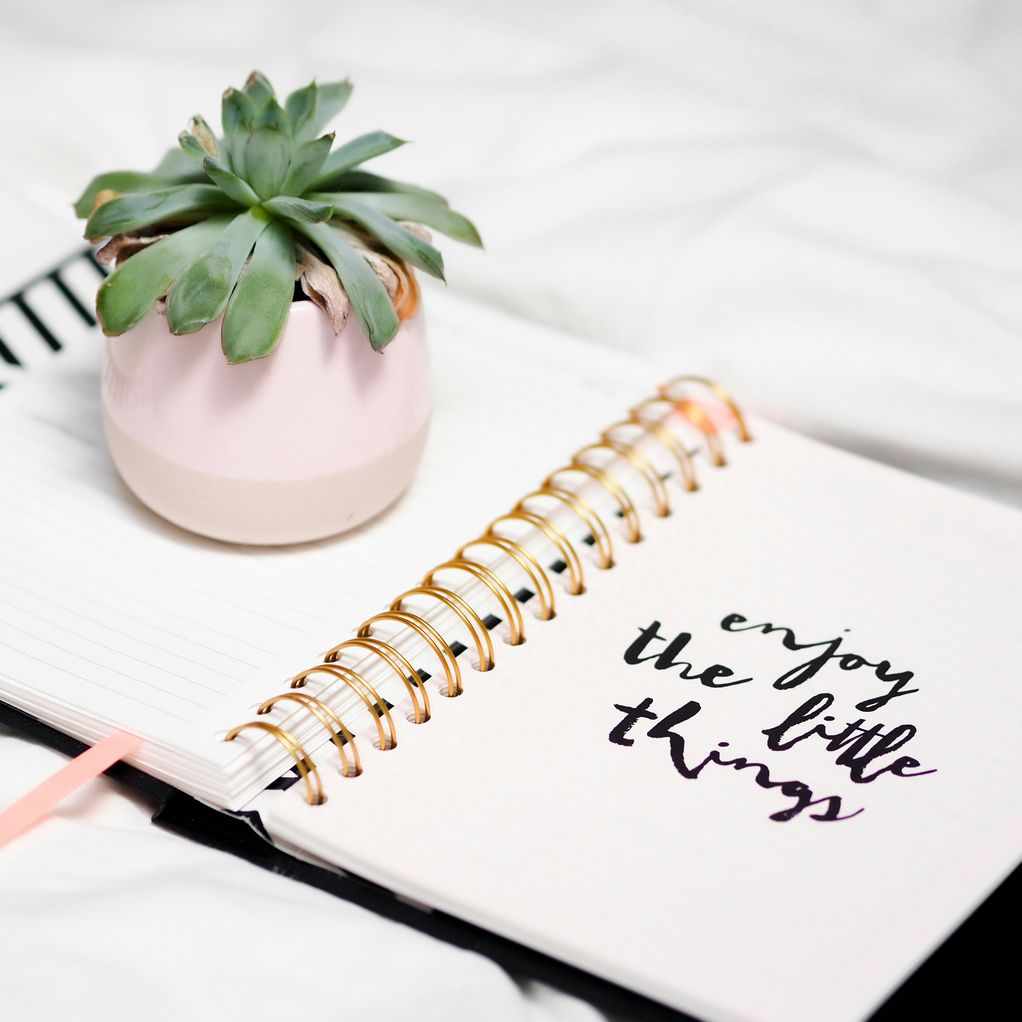 Photo by Laura Chouette on Unsplash
